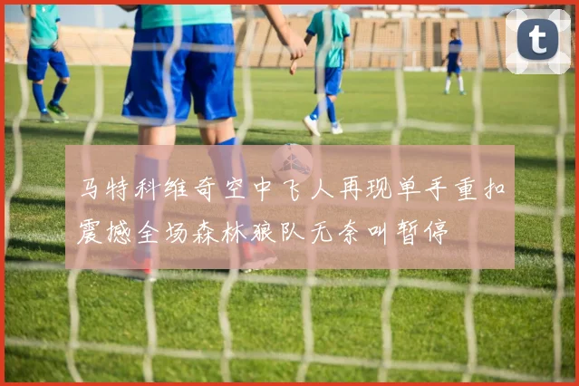 马特科维奇空中飞人再现单手重扣震撼全场森林狼队无奈叫暂停