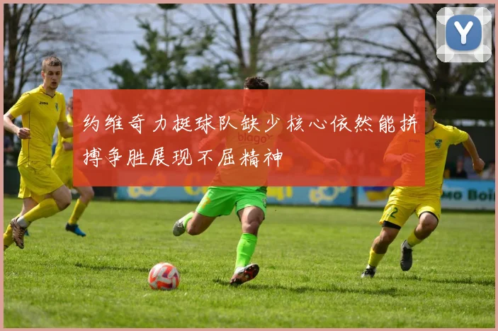 约维奇力挺球队缺少核心依然能拼搏争胜展现不屈精神