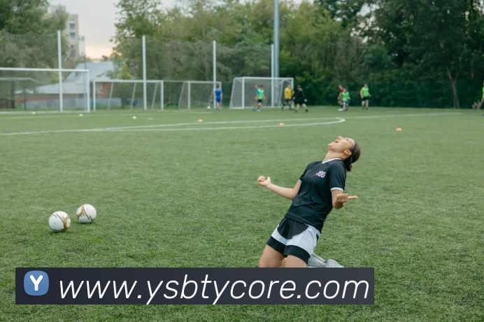 易胜博体育APP 封面图