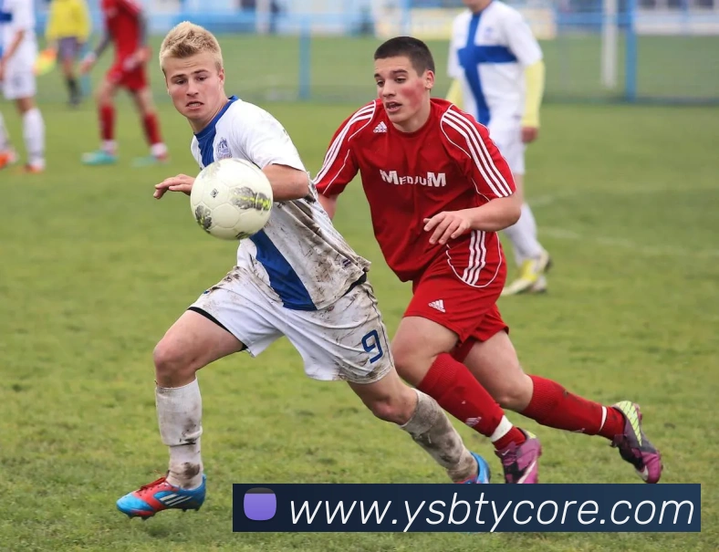 数据防护可视化